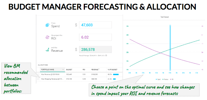 budget manager forecasting