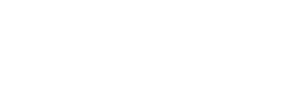 Le logo Rakuten blanc en caractères gras sur fond gris clair, avec un trait blanc horizontal sous le texte, évoque la clarté et la précision — à l'image d'un « Campaign Mirroring » efficace.