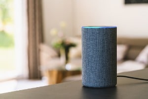 Voice search on a speaker