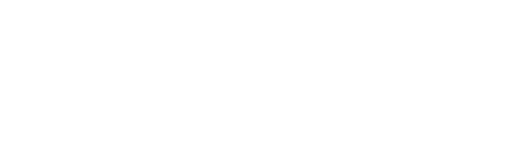 The words strocko success story appear in light gray, large lowercase letters on a plain white background.