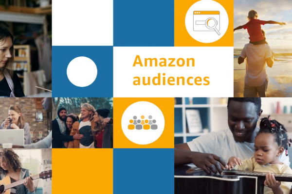 Various types of Amazon audiences used for Amazon DSP targeting