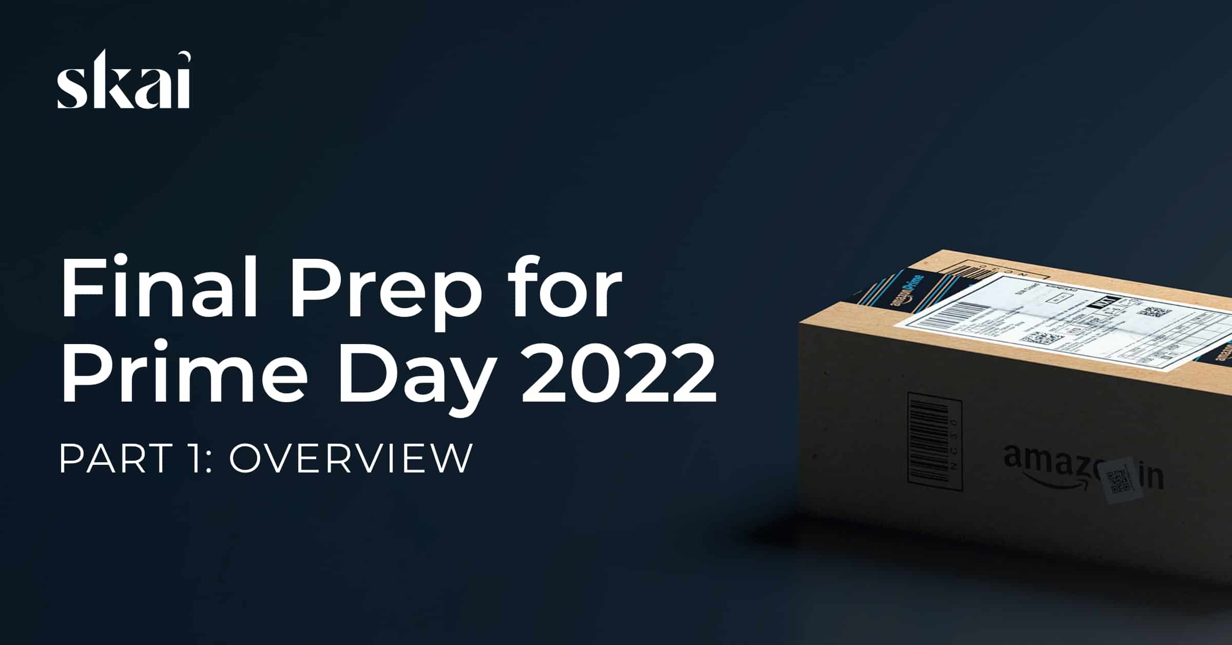 Final Prep for Prime Day 2022: Part 1 - Overview