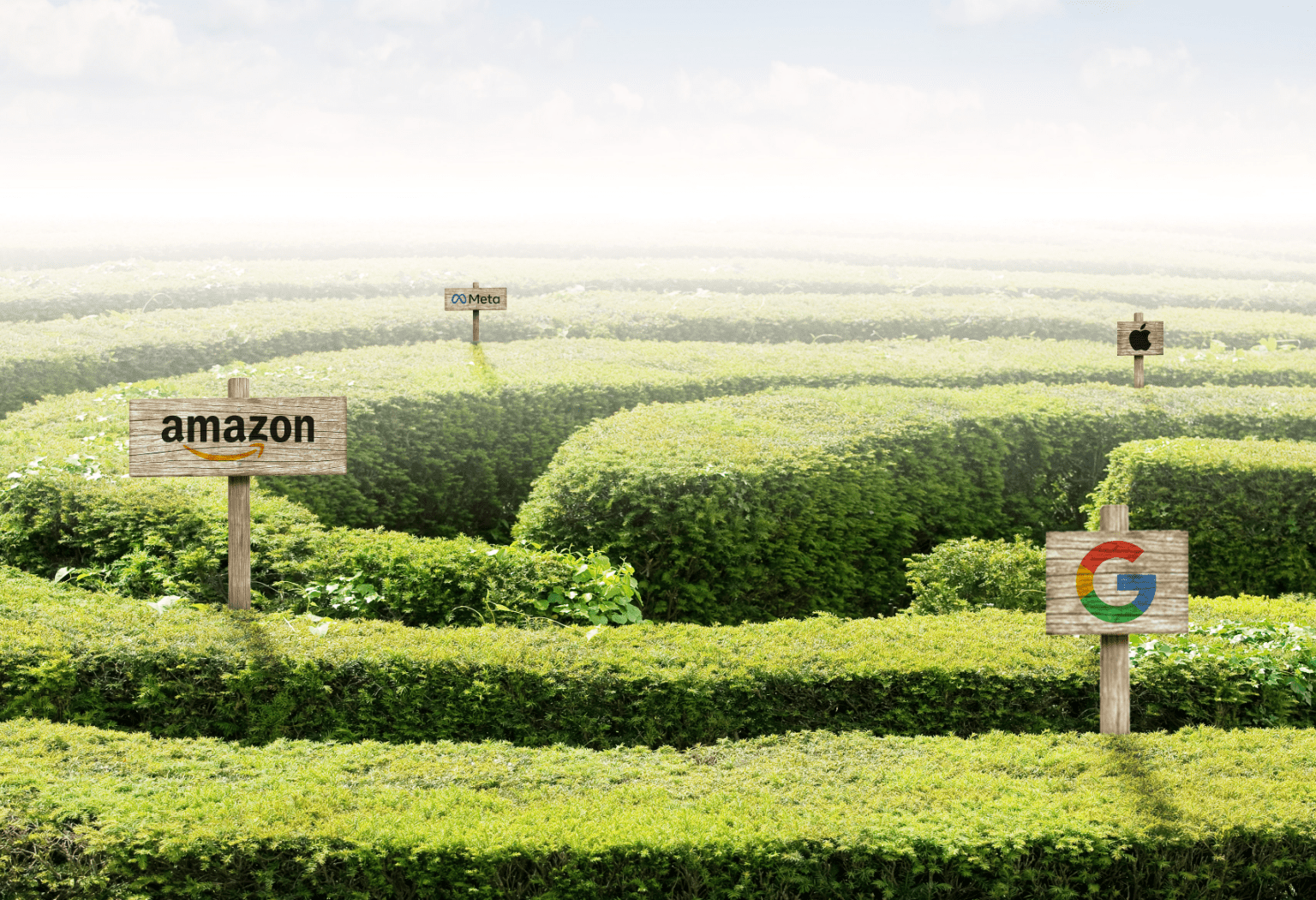 Amazon and Google stakes in a walled garden