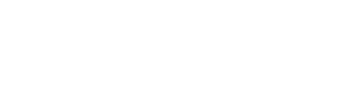 Würth Canada logo featuring a shield emblem on the left and the text “WÜRTH CANADA” in bold, uppercase letters on a light gray background, as seen in our dynamic search ad case study.