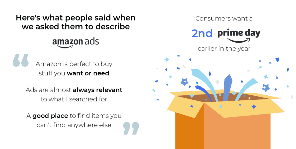 Customer insights about how they feel about Amazon Ads.