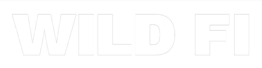 The image displays large, bold, light gray capital letters spelling WILD FI on a white background, referencing a Smart Bidding and Budget Optimization case study.