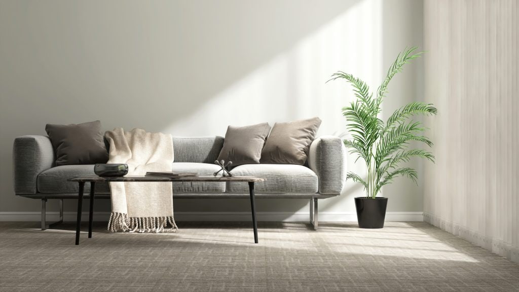 Modern living room with a gray sofa, beige throw, and cushions, a black coffee table, a green potted plant, and sunlight streaming through sheer curtains onto a neutral carpet—an inviting setting reminiscent of the tranquility featured in the OMRON Amazon Ads case study.